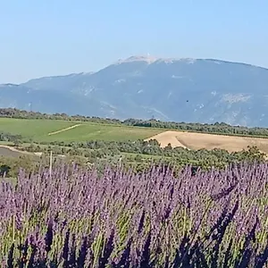 https://villa-little-pink-house.hotels-rhonealpes.com